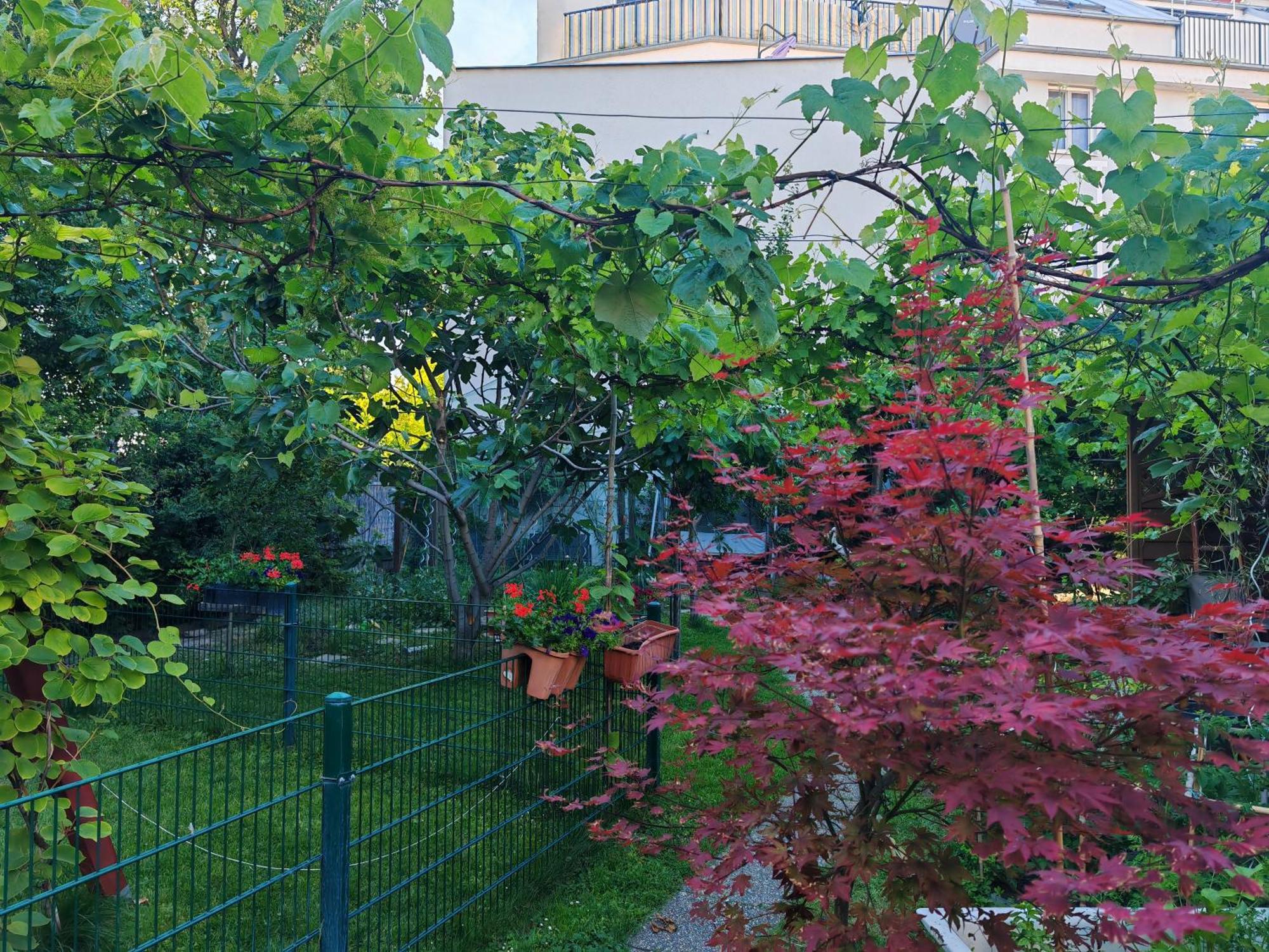 Leopoldauer Apartment Vienne Extérieur photo