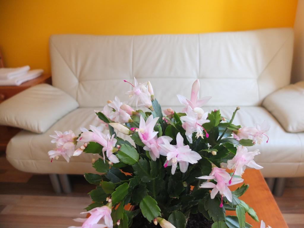 Leopoldauer Apartment Vienne Extérieur photo
